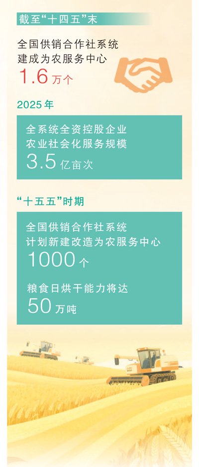 数据来源：中华全国供销合作总社 　　制图：蔡华伟