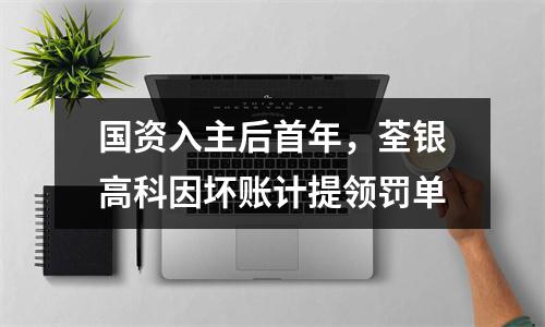 国资入主后首年，荃银高科因坏账计提领罚单