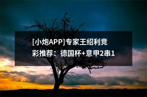 [小炮APP]专家王绍利竞彩推荐：德国杯+意甲2串1